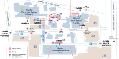 Carte de Lyon, hôpital